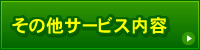 ̑T[rXe
